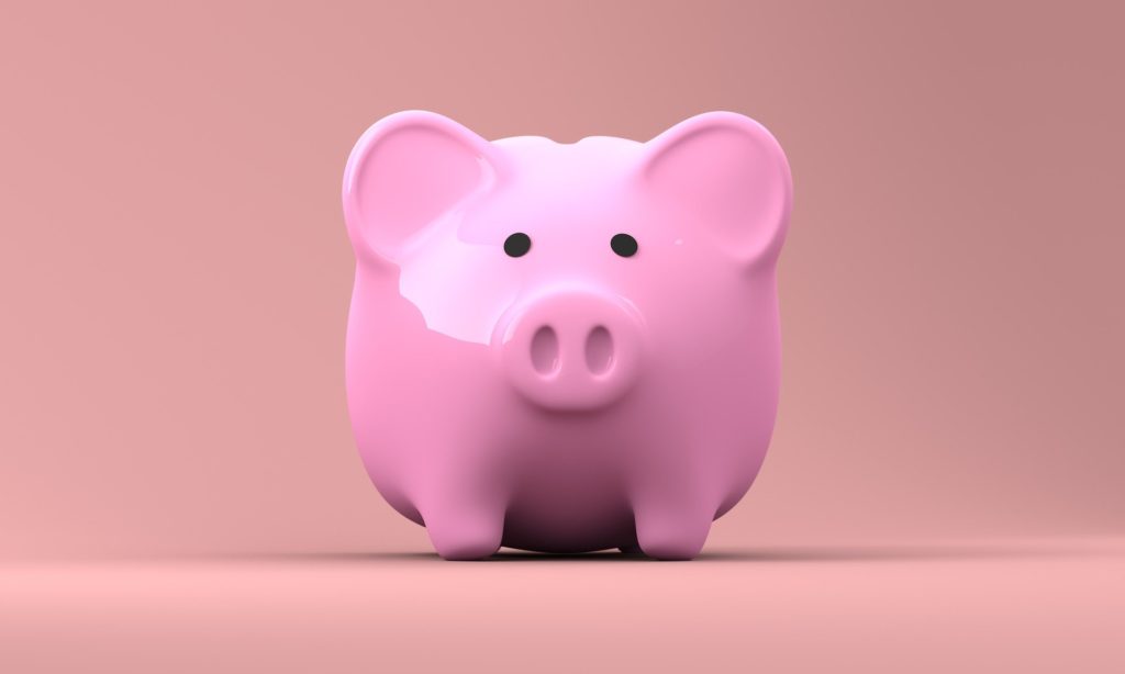A pink piggy bank. Saving money was another reason why it took me 10 years to publish my novel. 